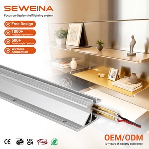 Wholesale Price Commercial Concealed Horizontal Insert Conductive Pillar Shoe Wine Clothing Showcase