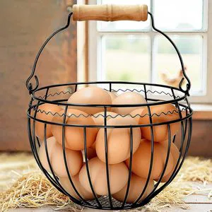 Eco-Friendly Modern Kitchen Countertop Metal Iron Wire Multifunction Chicken Egg Collecting Basket with Handle