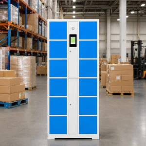Smart Storage Locker 12 Door OEM ODM Custom Metal Cabinet From Factory for Office School Gym and Warehouse Project Storage