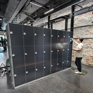 HPL Wood Cabinet Smart ABS Locker Electronic Lock Keyless Face Recognition For Pool Gym Storage Wooden Storage Locker Renovation