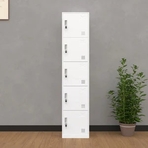 Modern 73'' 5-Door Steel Storage Locker Lockable Metal Cabinet with Hooks for Home Furniture for Living Room School Gym Use