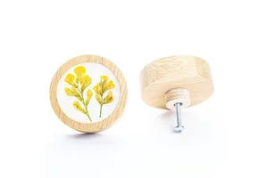 Modern Home Furniture Cabinet Organizers with Multi-Design Resin and Wooden Knobs