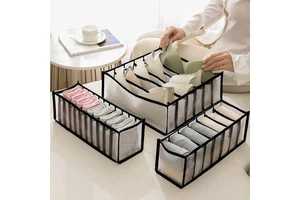 Mesh Storage Compartment for Clothing in Underwear and Bra Closets and Cabinets