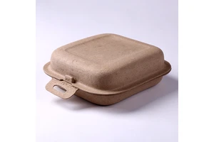 H58-Customized Recycled Paper Pulp Molded Dry Press Shoes And Clothing Packaging Box