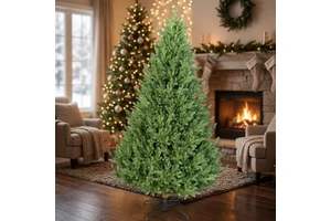 Direct Factory Manufacturer Wholesale Modern High Quality Full PE Christmas Tree for Indoor Xmas Decoration