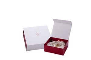 Clear Foldable Acrylic Sneaker Box for Shoes, Display Case for Collector's Items and Organization