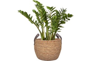 round Wicker Woven Seagrass Storage Baskets with Leather Handles Set of 3, Natural Decorative Braided Rope Wicker Baskets Bins