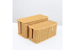 Set 2 Pastoral Style PP Rattan Cable Management Box - Lidded Hidden Storage Organizer Basket for Power Strips & Wires Sockets
