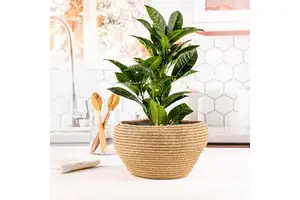 Handwoven Rope Plant Baskets-Eco-Friendly Clothing Storage & Home Decor Multifunction Design Simple Style ArtisRaw