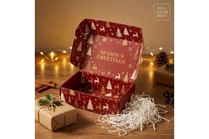 Custom Logo Christmas Mailer Box Corrugated Shipping Packaging Box With Gold Foil For Xmas Gift Subscription Holiday