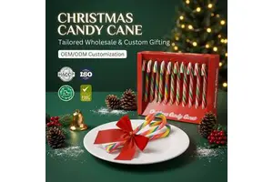 12 Count Christmas Candy Cane Gift Box Rainbow Swirl Hard Candy Pop With Festive Display Box For Retailer