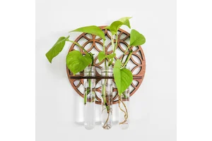 Solid Wood Single Nordic Style Sustainable Multifunction Wall Mounted Hanging Storage Rack Shelf Living Room Wall Decoration