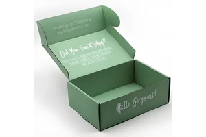 Free Sample Custom Large Fold Corrugated Airplane Postal Box Print Logo Packaging Cardboard Mailer Box Shoe Boxes