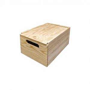 30x20x14 cm Decorative Storage Box with Lid for Decoration and Organization