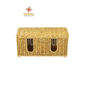 Modern Eco Friendly Handmade Rectangle Hide Power Cord Willow Other Plastic Wicker Storage Baskets Box With Lid Desktop