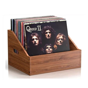 Modern Wooden Vinyl Storage