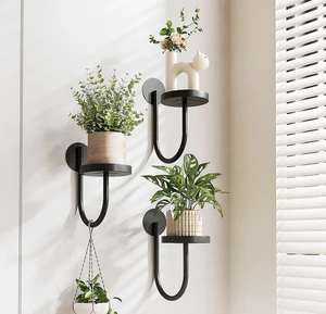 Black 1-Piece Modern Iron Indoor Wall Plant Holder Hanger with Storage Shelves for Flower Pots and Decor