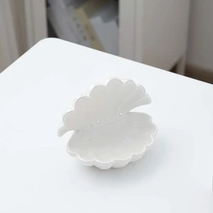 Ceramic Shell Storage Display