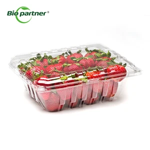 Wholesale PET Disposable Cherry Blueberry Punnet Baskets Fruit Clamshell Punnet Container Plastic Clear Box