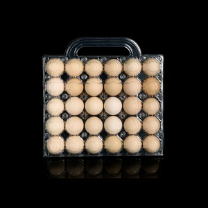 28/30 Handheld Type PET Plastic Packaging Boxes Chicken Egg Holders Customized Clear Egg Trays Portable For Supermarket And Farm