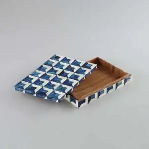 Contemporary Decorative Storage Box in Bone Trunk Style