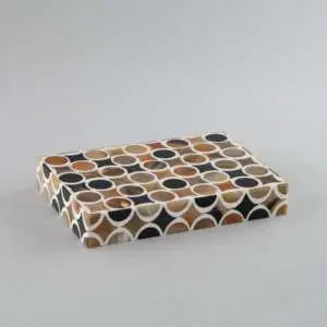 Modern Decorative Storage Box in Bone Trunk Design
