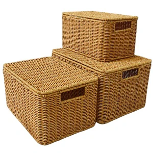 New Arrival Large Size Custom Modern Design Multi-function Storage Boxes Plastic Rattan Wicker Basket