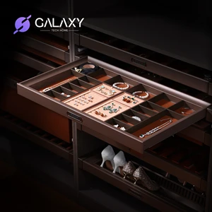 Galaxy Wardrobe Accessories Hardware Jewelry Display Tray Rack Decorative Pull Out Organizer Storage Drawer With Soft Close