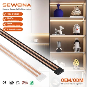 Durable Magnetic Conductive Track Supermarket Shelves Retail Display Racks Iron Shelves
