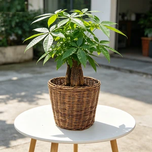 HF0240 Rattan Plant Basket with Handles Rattan Pot Small Large, Handmade Round Flower Plant Pots Jumbo Wicker Storage Basket
