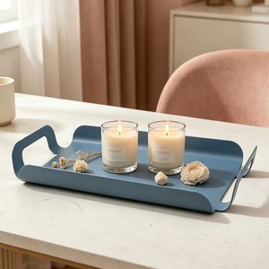 TRUST Modern Durable Iron Storage Tray With Rectangle Shape For Living Room Home Decor