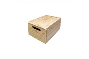 30x20x14 cm Decorative Storage Box with Lid for Decoration and Organization