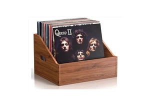 Modern Wooden Vinyl Storage
