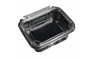 Wholesale Custom Design Food Grade PET Plastic Tamper Evident Containers Box Recyclable Embossing Food Storage Serving Vacuum