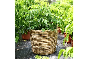 Custom Extra Large Rattan Log Basket Natural Woven Rattan Flower Pot for Home Garden Wicker Planter Jumbo Wicker Storage Basket