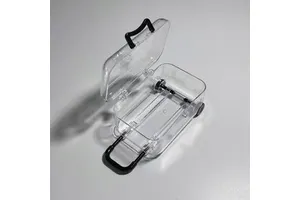 Mini Trolley Case Transparent Plastic Jewelry Box for Earrings Hair Accessories Simple Ins Style Organizing Small
