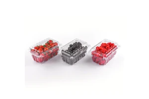 Wholesale Wholesale Stackable Packaging Food Container, Disposable PET Tomato Cherry Strawberry Fruit Plastic Box With Hole