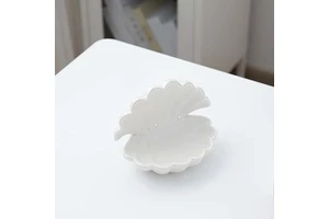 Ceramic Shell Storage Display