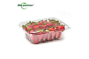 Wholesale PET Disposable Cherry Blueberry Punnet Baskets Fruit Clamshell Punnet Container Plastic Clear Box