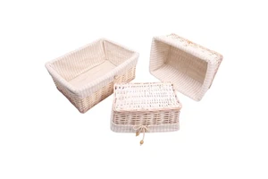 Natural Willow Woven Basket Stylish & Sustainable Daily Storage Solution Handmade Rattan Basket Packaged in Cartons