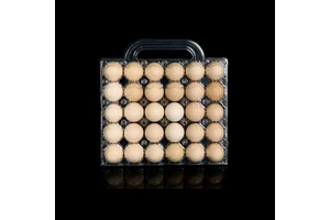 28/30 Handheld Type PET Plastic Packaging Boxes Chicken Egg Holders Customized Clear Egg Trays Portable For Supermarket And Farm