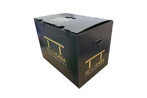 Plastic Storage and Moving Boxes