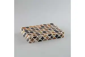 Modern Decorative Storage Box in Bone Trunk Design