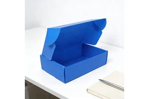 Customized Size Lightweight Rigid Waterproof Reusable Folding Eco-Friendly Transportation Package for Plastic Storage
