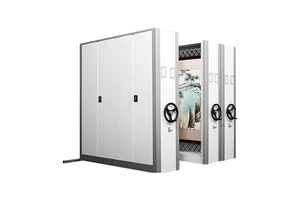 Storage Sloution For Art Gallery Art Storage Spacesaver Filling Compactor Mobile Shelving