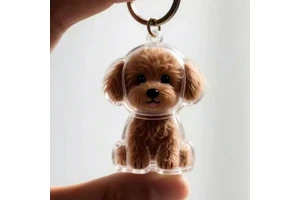 D5684 Portable Pets Fur Keepsake for Hair Transparent Capsule Bottle Pet Dog Hairs Collector Charm Memorial Storage Box Keychain