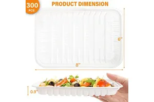 Modern Design Disposable Fruit Meat Packaging Storage Bins Rectangle PP Plastic Food Tray American Style Plate Dish for Parties