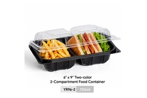 Factory Wholesale 6*9-Inch 2 Compartments Recyclable ClamShell Clear Two-color PP Takeaway Food Containers