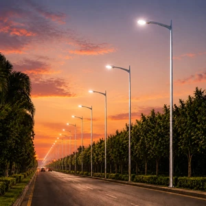 Outdoor Adjustable IP66 Sensor LED Street Light 50W Aluminum 220V AC Super Bright Road Use 5-Year Warranty