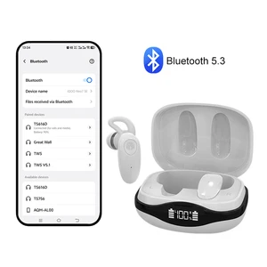 Wholesale BestNews TS615D-32 32-Channel Binaural Hearing Aids (Noise Reduction Super Clear Sound Rechargeable) | Premium